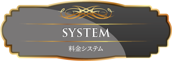 SYSTEM 料金システム